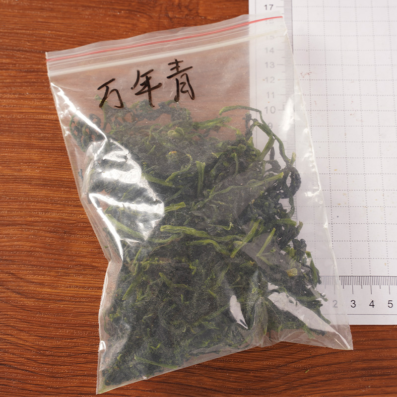 熱風乾燥茎野菜